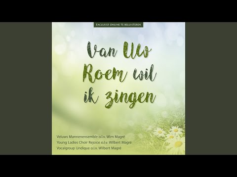 Achter de vergrijsde wolken