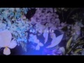 Plini - Moonflower (Audio)