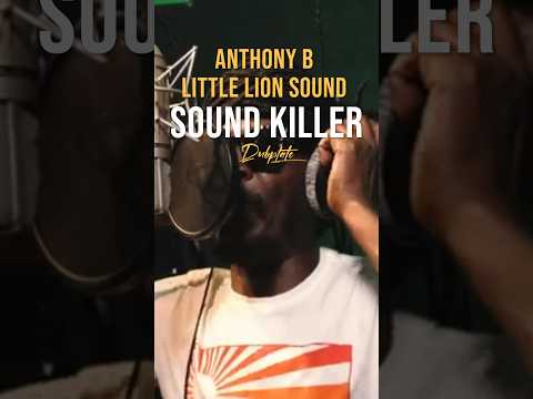Anthony B - Dubplate - Little Lion Sound - Sound Killer #anthonyb #music #reggae #schors #sound