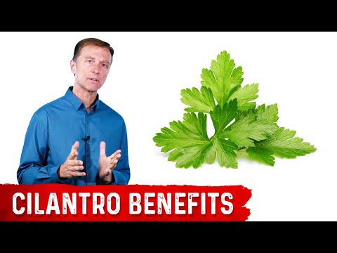 , title : 'What is Cilantro Good For?