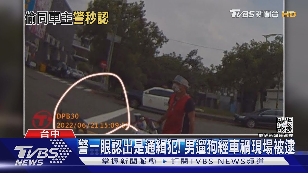 警一眼認出是通緝犯! 男遛狗經車禍現場被逮
