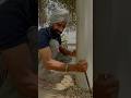 Pind Diyaan Suhanniyan Galliyan ‍ ️ PindVibes PunjabiGalliyan MittiDiKhushboo DesiCulture Pin