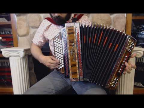 BELTALPIVDGPS - Decorated Rosewood Beltuna Alpstar IV D Diatonic Accordion LMMM GCFBb  48 16 $4999