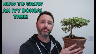 Ivy Bonsai Prune & How-To Guide