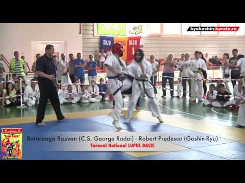 Botoroaga Razvan (C.S. George Radoi) -  Robert Predescu (Goshin-Ryu)