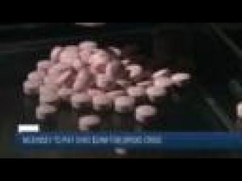 News 5 Cleveland Latest Headlines | February 4, 6pm