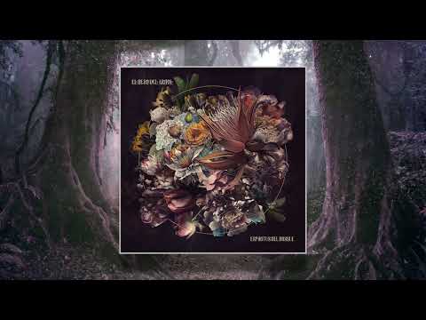 El Beso Del Árbol - Espíritus Del Bosque (Continuous Mix) (Organic Downtempo)