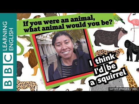 Hello from London! If you were an animal, what animal would you be?