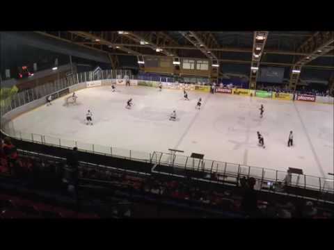 MOL105 HK Beograd vs Debreceni HK 0:4 (0:1,0:0,0:3) 18.11.16