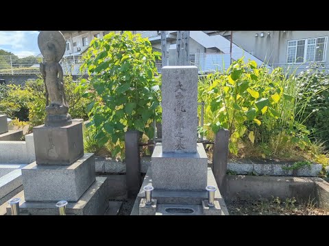 [Japan Dark Tours] Visit the graves of two Navy lieutenant admirals who died and took responsibility