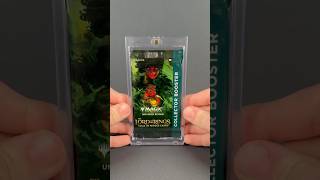 Opening a MTG LOTR Collector Booster Pack #mtg #magicthegathering #mtgcommander