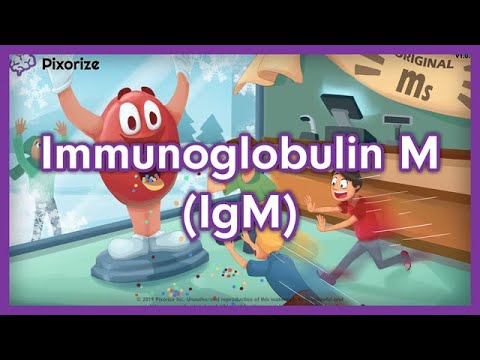 Immunoglobulin IgM or IgM USMLE Mnemonic Preview