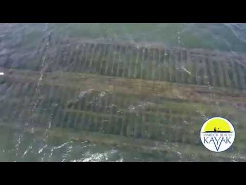 Dorcas Pendell Shipwreck in Harbor Beach