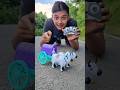 Rc Remote Control Cow Vehicle Unboxing আবার একবার