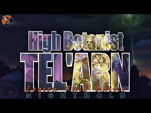 High Botanist Tel'arn: Two Minute Tips | Normal/Heroic | Legion Raid Basics