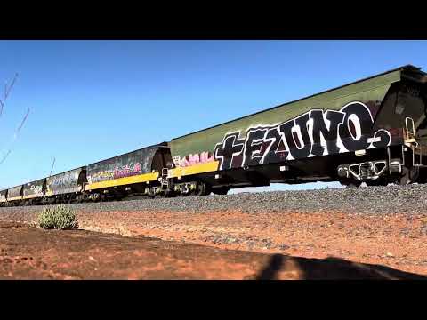 G540-G523 7937V empty Yelta grain at Merbein West. 21/06/24.