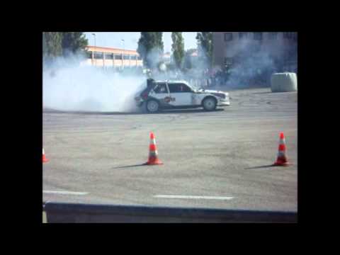 Amiki Miei 2010-Alex Fiorio-Delta s4