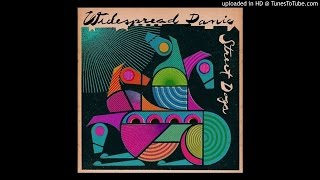 Widespread Panic - Welcome To My World