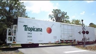 preview picture of video 'CSX Tropicana Train And Phosphate Train Back To Back'