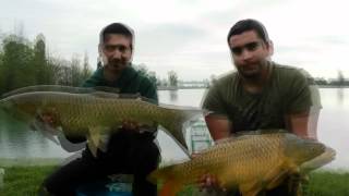 carpfishing 100%