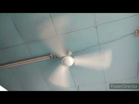 56" TMT Industrial ceiling fan in a Smoothie Shop