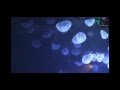 Depeche Mode- When the body speaks [Subtitulos ...