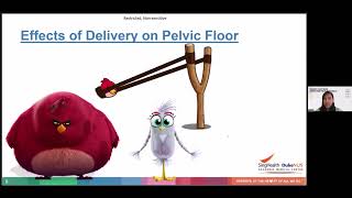 Strength Starts Below: Understanding Pelvic Floor Health Public Webinar