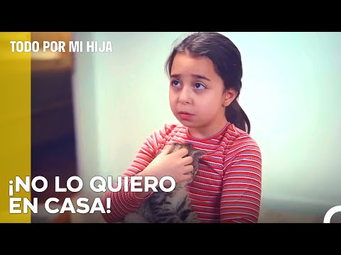 La Estricta Regla Del Gato De Demir - Todo Por Mi Hija Capitulo 80