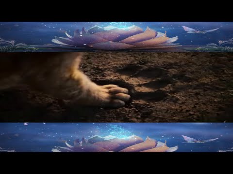 Carmen Twillie ft . Lebo M - Circle Of Life (Dimitri Vegas & Like Mike Vs. Ummet Ozcan Remix)