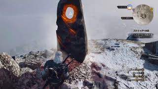 ウィッチャー3　無言配信