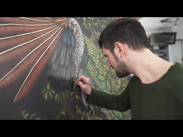 Peacock Project