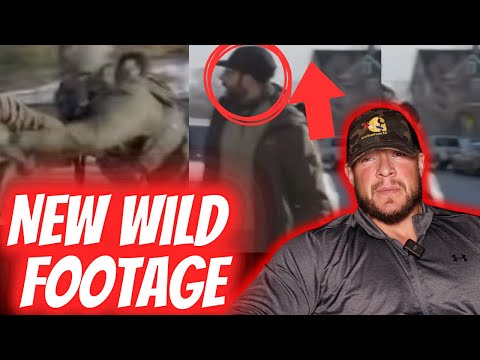 New Wild Footage Of Ice Officers and Alex Pretti