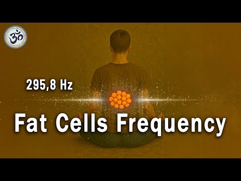 295,8 Hz Fat Cells Frequency - Fat Burning, Weight Management, Energy Balance, Tuning Fork