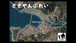 [PUBG] 高画質なﾊｲﾎﾞｰﾙ濃いめ実況！