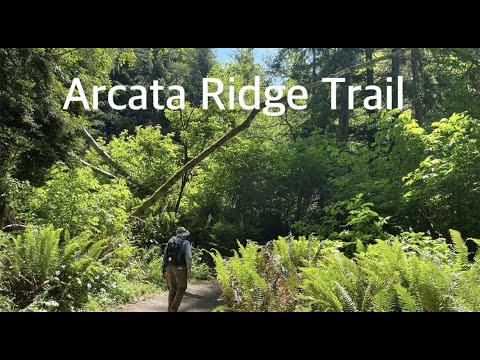 Explore the beauty of Arcata Ridge Trail in Arcata, California  6/30/2022