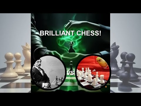 Awesome #chessgame: Lasker, Emanuel vs Bird, Henry Edward