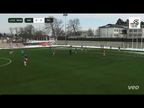 Vulturii Nordului vs Paltinis meci amical