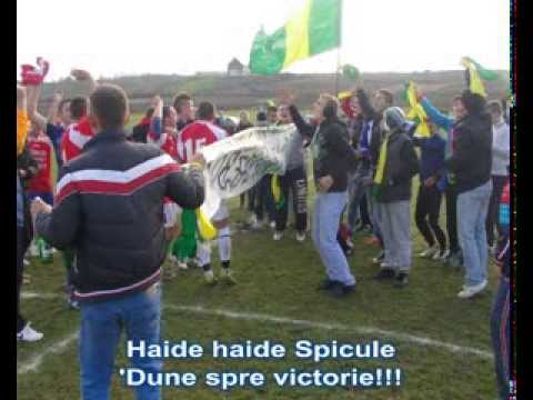 Spicul Bucerdea 2013-2014