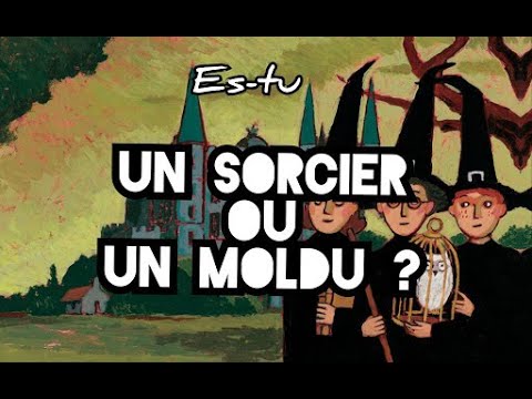 Es-tu un sorcier ou un modlu - Mimie 9 3/4