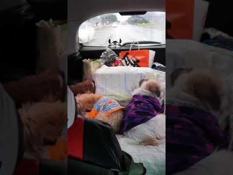 โฟโต้​ โฟกัส​ ไปเที่ยวทะเล