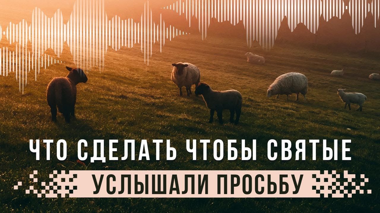 Что нужно сделать чтобы Святые услышали и исполнили просьбу? отвечает Макси?