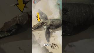 Download lagu Why Have Dinosaur Fossils Never Been Found in Indonesia? #fossil #shorts #dinosaur mp3