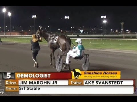 3 yo Gemologist & Jim Marohn Jr/Ake Svanstedt wins in 1.52,4 (1.10,1) at The Meadowlands.