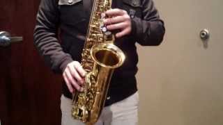 Video thumbnail for Selmer Paris Super Action 80 Serie II Alto Saxophone by Instrument Attic