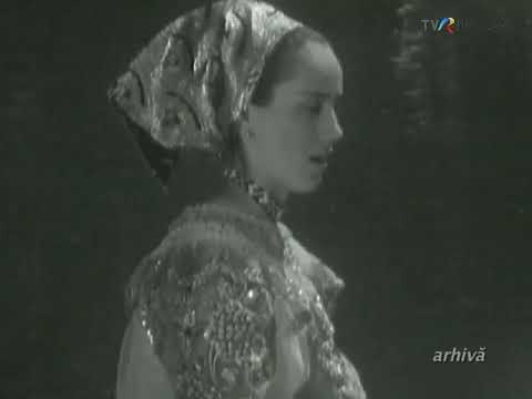 Ana Munteanu - Trandafir cu creanga-n apa ( Arhiva )