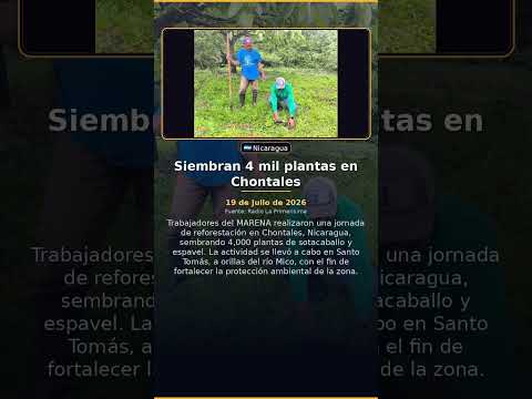 Siembran 4 mil plantas en Chontales