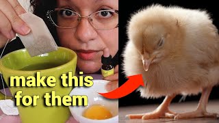 How to Keep a Sick Chick ALIVE (and hopefully go on to thrive) 🐥❤️