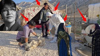 😱🤝 Esmat came to get Sarubegul's consent; the doctor also came for the jay and the chickens! 🩺🐔🔥