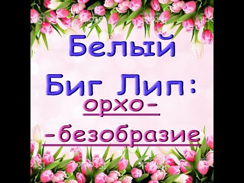 ОРХОБЕЗОБРАЗИЕ с белым БигЛипом из АШАНА