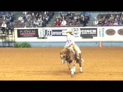 Diamonds in My Dreams et Tish S Fappani